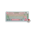 NUBWO X804 Mechanical MINI RGB SIZE 75% RGB ปรับโหมดไฟได้ 11 โหมด มี Macro software