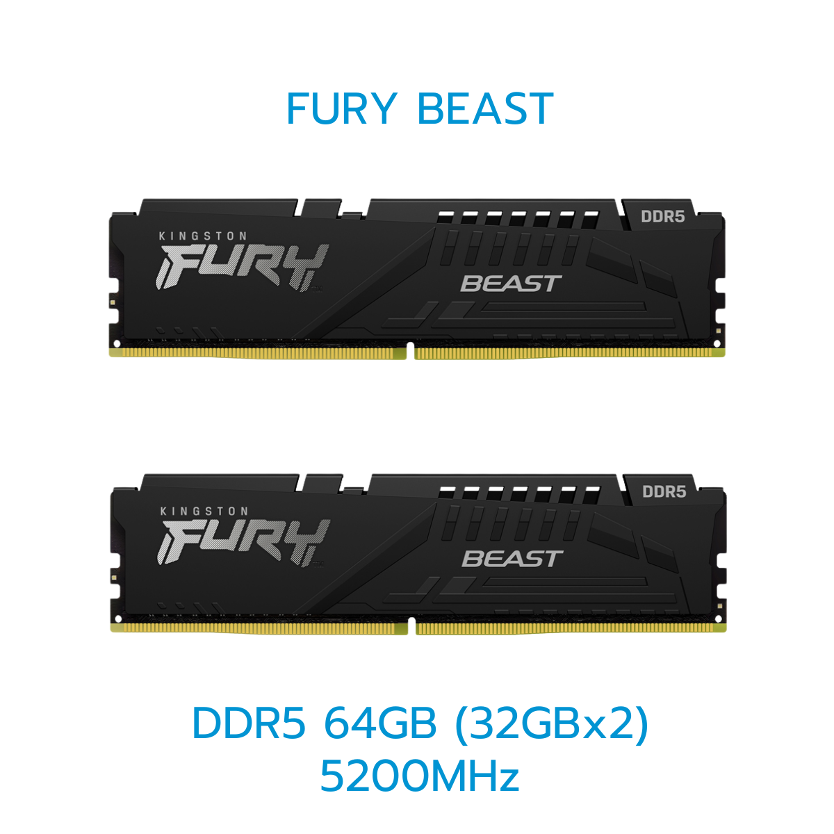 KINGSTON RAM (แรม) FURY BEAST/FURY BEAST(RGB) 8GB-32GB DDR5 LIFETIME WARRANTY