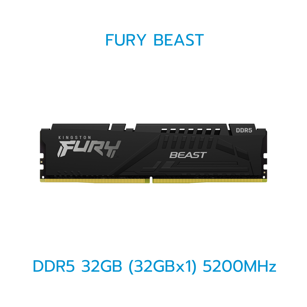 KINGSTON RAM (แรม) FURY BEAST/FURY BEAST(RGB) 8GB-32GB DDR5 LIFETIME WARRANTY