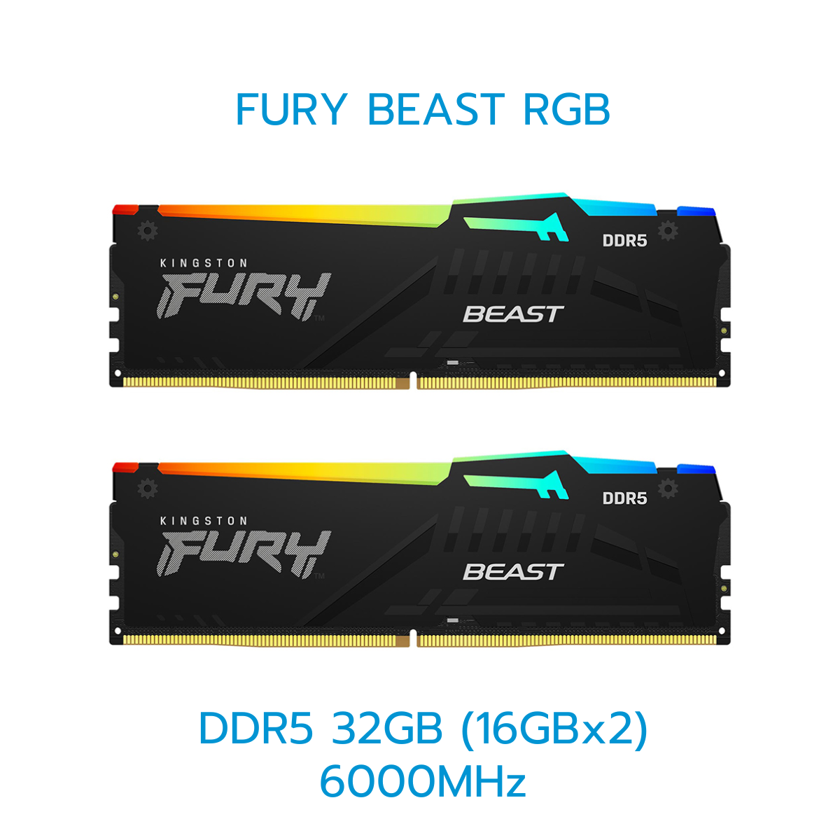 KINGSTON RAM (แรม) FURY BEAST/FURY BEAST(RGB) 8GB-32GB DDR5 LIFETIME WARRANTY