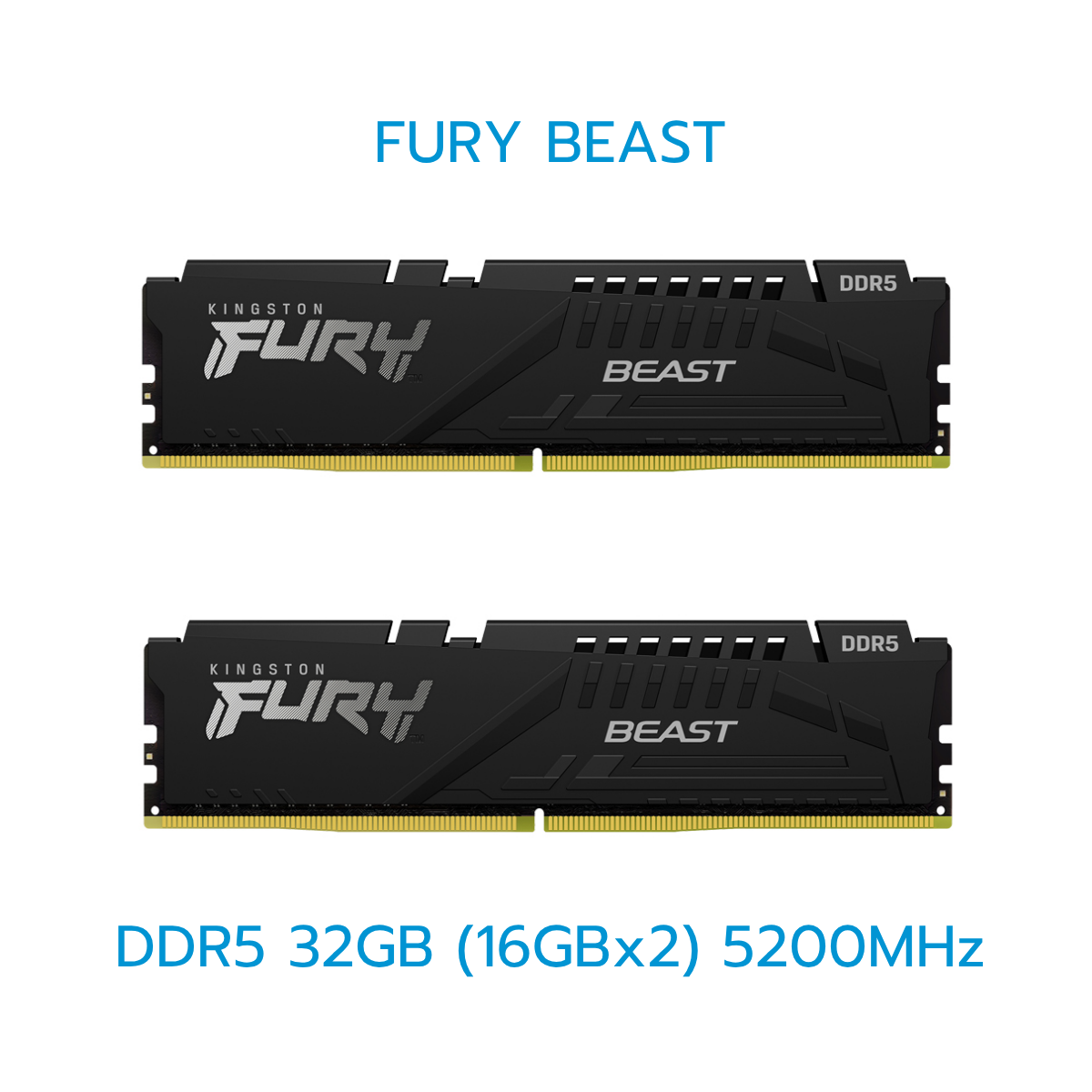 KINGSTON RAM (แรม) FURY BEAST/FURY BEAST(RGB) 8GB-32GB DDR5 LIFETIME WARRANTY