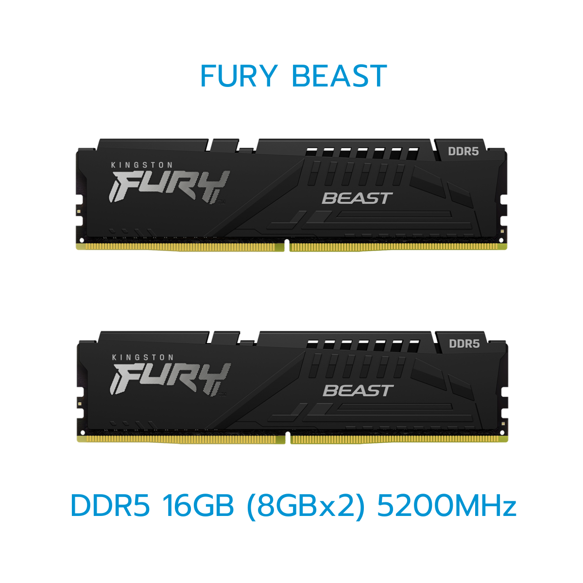 KINGSTON RAM (แรม) FURY BEAST/FURY BEAST(RGB) 8GB-32GB DDR5 LIFETIME WARRANTY