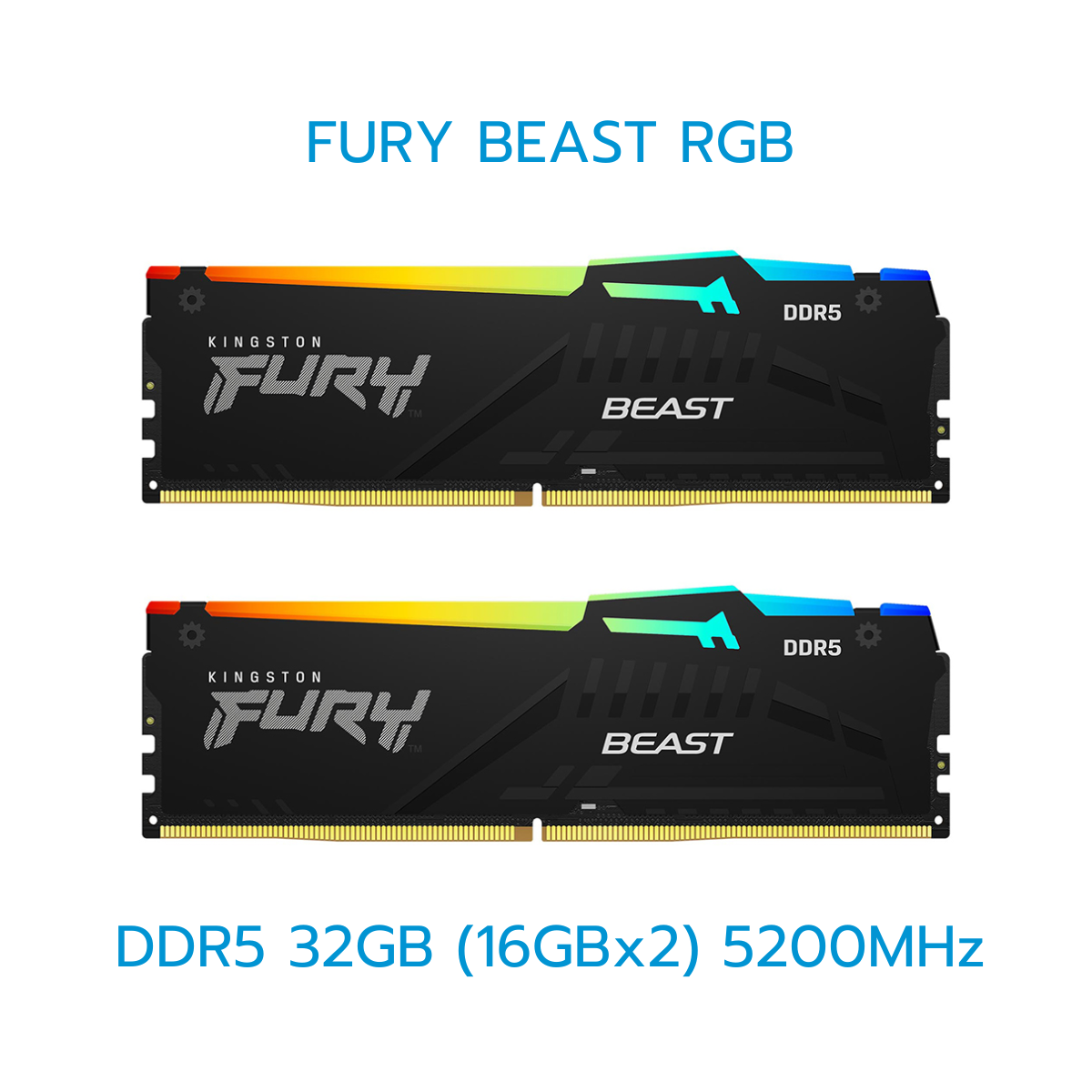 KINGSTON RAM (แรม) FURY BEAST/FURY BEAST(RGB) 8GB-32GB DDR5 LIFETIME WARRANTY