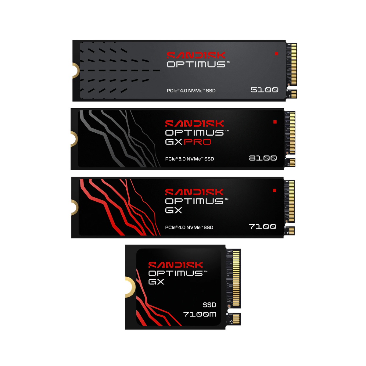 SANDISK SSD (เอสเอสดี) OPTIMUS SERIES 1TB-4TB WARRANTY 5 YEARS