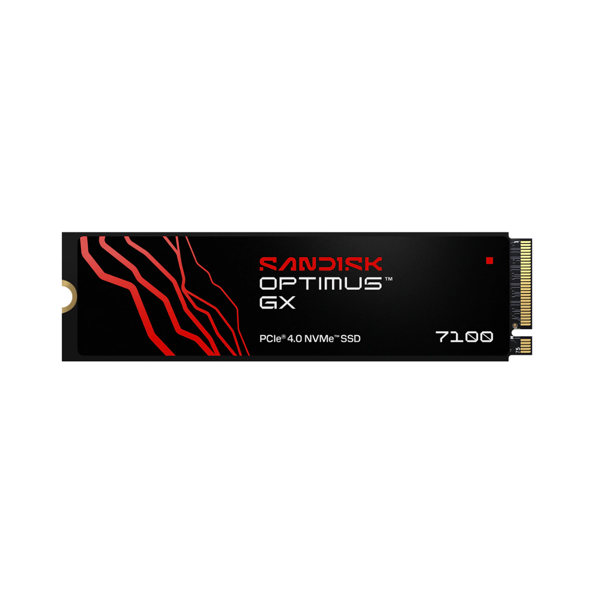 SANDISK SSD (เอสเอสดี) OPTIMUS SERIES 1TB-4TB WARRANTY 5 YEARS