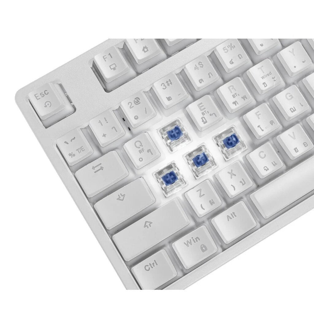 Keyboard SIGNO KB-751W WHITE (BLUE SWITCH) Wireless Gaming