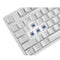Keyboard SIGNO KB-751W WHITE (BLUE SWITCH) Wireless Gaming