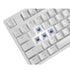 Keyboard SIGNO KB-751W WHITE (BLUE SWITCH) Wireless Gaming