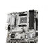 MSI MAINBOARD (เมนบอร์ด) B450M MORTAR TITANIUM