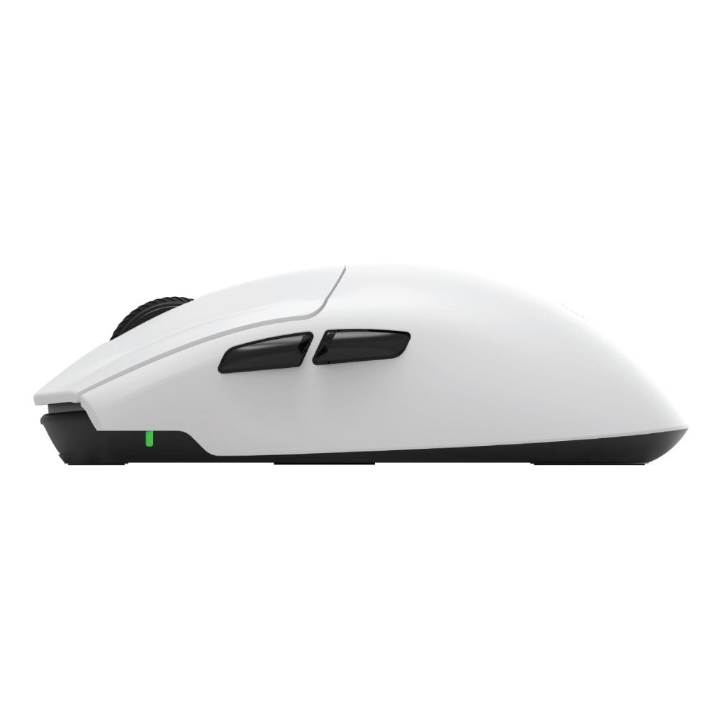 SIGNO WG-903 VORKEN E-SPORT WIRELESS GAMING MOUSE เกมส์มิ่งเมาส์