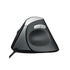 RAPOO EV200 WIRED SILENT ERGONOMIC MOUSE เม้าส์เพื่อสุขภาพ