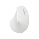 ANITECH W230 ERGONOMIC DESIGN WIRELESS MOUSE เมาส์ไร้สาย เมาส์เพื่อสุขภาพ รองรับสรีระมือ