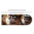EZVIZ E4P 6MP Smart Wi-Fi Panoramic Fisheye Camera พร้อมดีไซน์ทันสมัย คมชัดไร้จุดบอด 360°