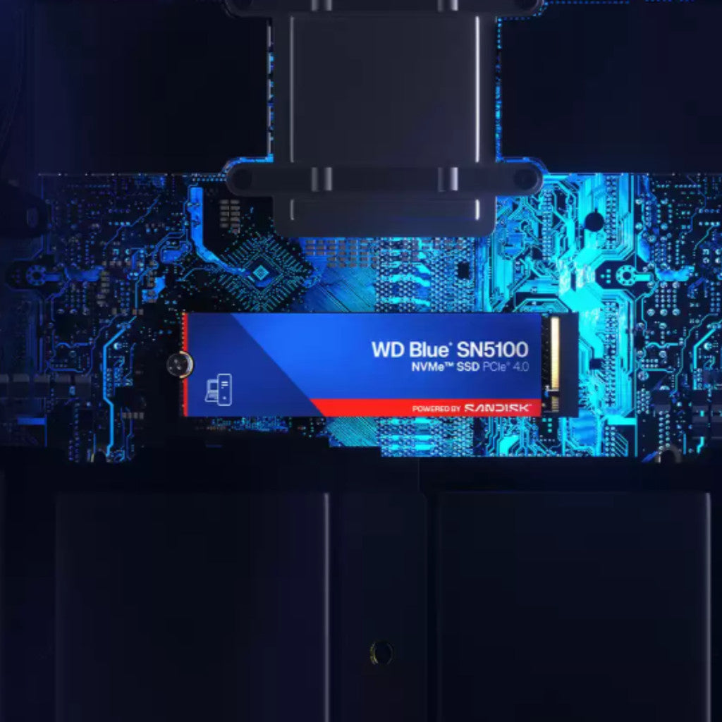 WD SSD (เอสเอสดี) WD BLUE/WD GREEN 500GB-1TB WARRANTY 3 YEARS