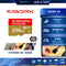SANDISK MICRO SD (ไมโครเอสดีการ์ด) EXTREME GO 256GB UHS-I (SDSQXGN-256G-GN6MN) LIFETIME WARRANTY