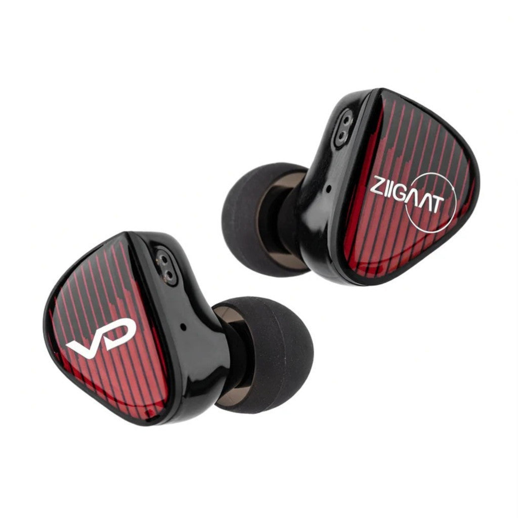 ZiiGaat x Vivir Digital RUMBA หูฟัง IEM เบสแน่น เหมาะฟังเพลงและเล่นเกม รับประกัน 1 ปี