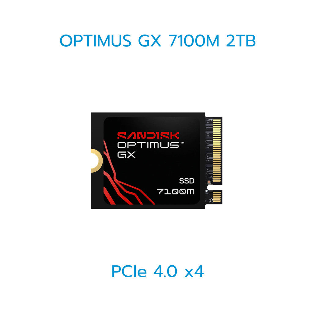 SANDISK SSD (เอสเอสดี) OPTIMUS SERIES 1TB-4TB WARRANTY 5 YEARS