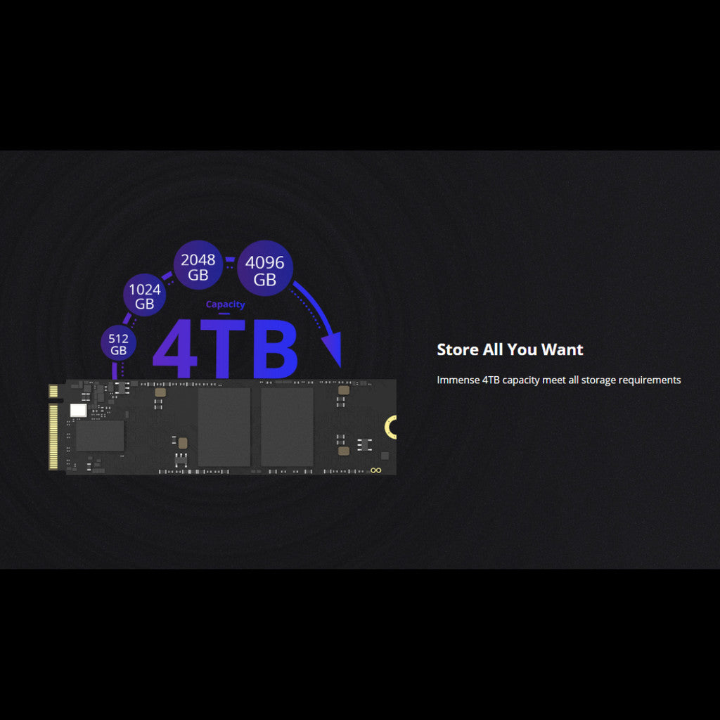 HIKSEMI SSD (เอสเอสดี) FUTURE 4096GB PCIe 4.0 (HS-SSD-FUTURE 4096G) WARRANTY 5 YEARS