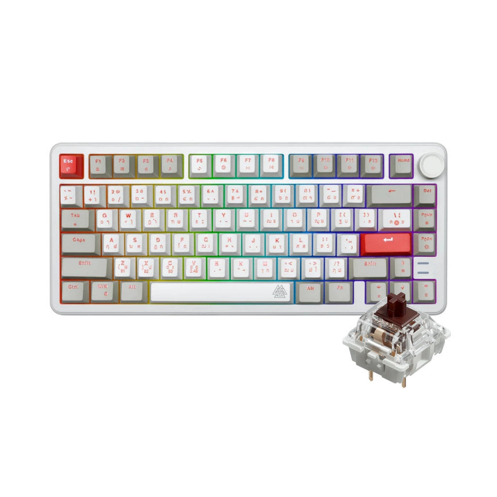 EGA TYPE CMK10 Off White 75%  Hot Swap 5 Pin Mechanical Full RGB มาพร้อม Knob ประกันศูนย์ 2 ปี