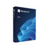 MICROSOFT WINDOWS (วินโดวส์) WINDOWS PRO FPP 11 64-bit ENG Intl USB (HAV-00163)
