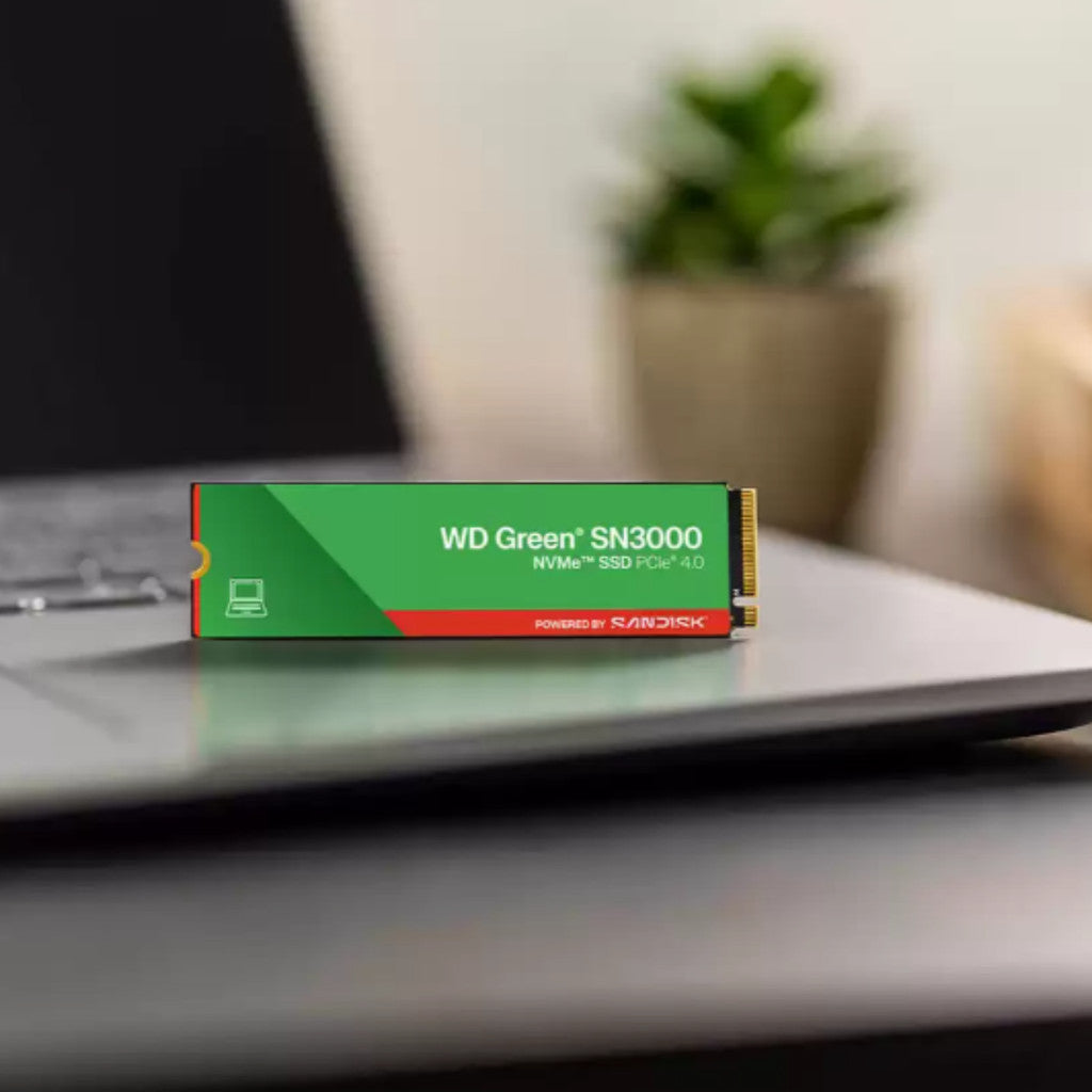 WD SSD (เอสเอสดี) WD BLUE/WD GREEN 500GB-1TB WARRANTY 3 YEARS