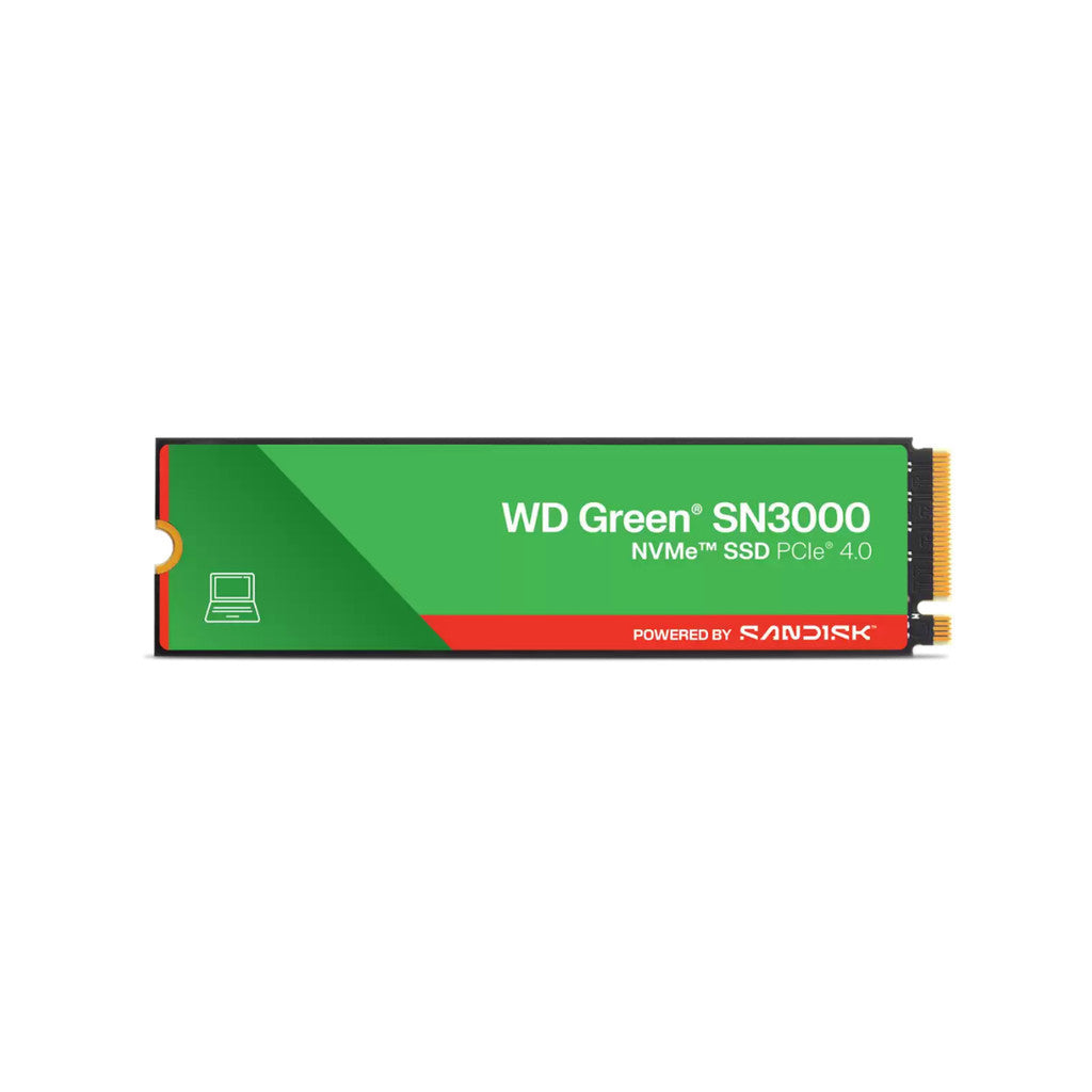 WD SSD (เอสเอสดี) WD BLUE/WD GREEN 500GB-1TB WARRANTY 3 YEARS
