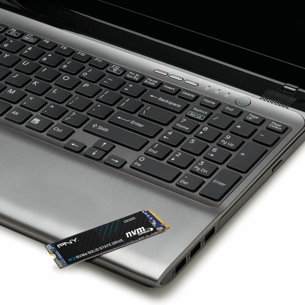 PNY SSD (เอสเอสดี) CS1031 256GB PCIe 3.0 (M280CS1031-256-CL) WARRANTY 5 YEARS