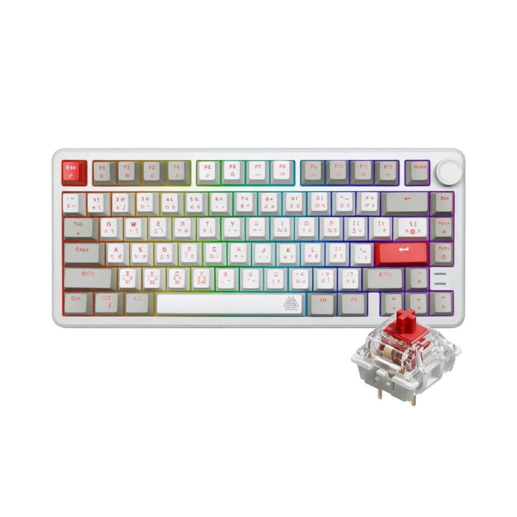EGA TYPE CMK10 Off White 75%  Hot Swap 5 Pin Mechanical Full RGB มาพร้อม Knob ประกันศูนย์ 2 ปี