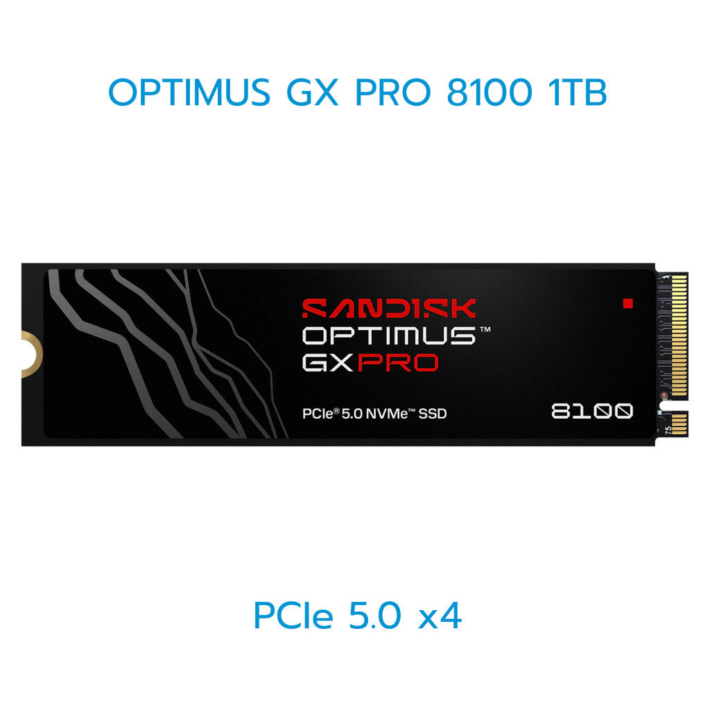 SANDISK SSD (เอสเอสดี) OPTIMUS SERIES 1TB-4TB WARRANTY 5 YEARS