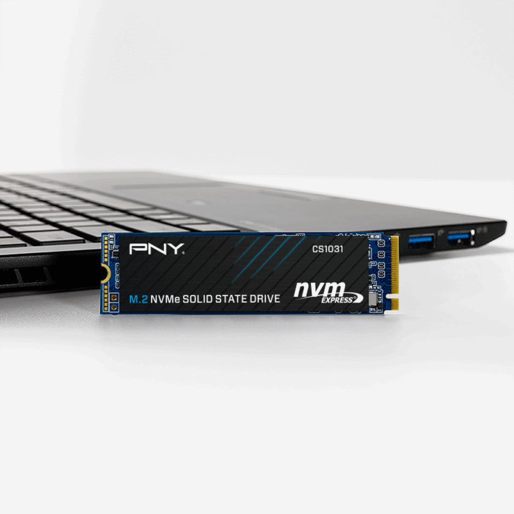 PNY SSD (เอสเอสดี) CS1031 256GB PCIe 3.0 (M280CS1031-256-CL) WARRANTY 5 YEARS