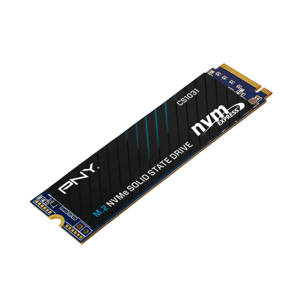 PNY SSD (เอสเอสดี) CS1031 256GB PCIe 3.0 (M280CS1031-256-CL) WARRANTY 5 YEARS