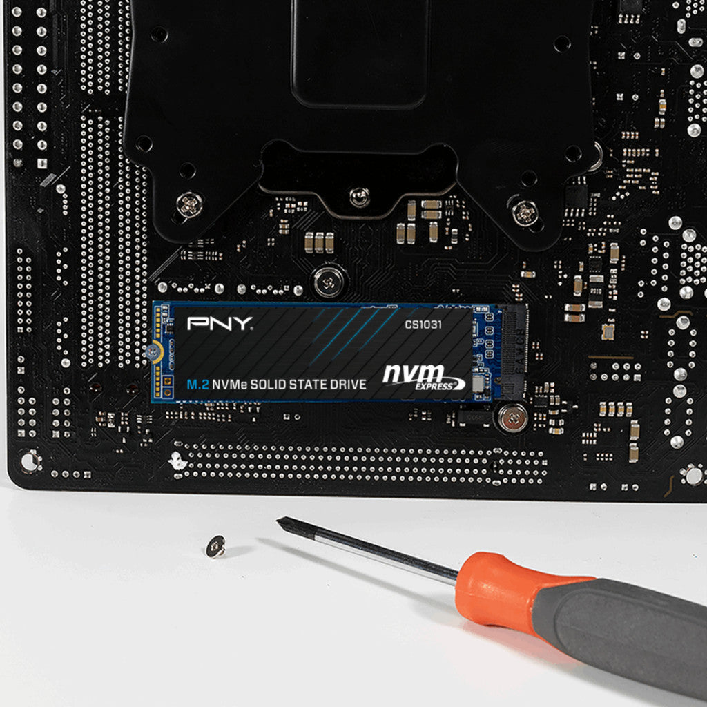 PNY SSD (เอสเอสดี) CS1031 256GB PCIe 3.0 (M280CS1031-256-CL) WARRANTY 5 YEARS
