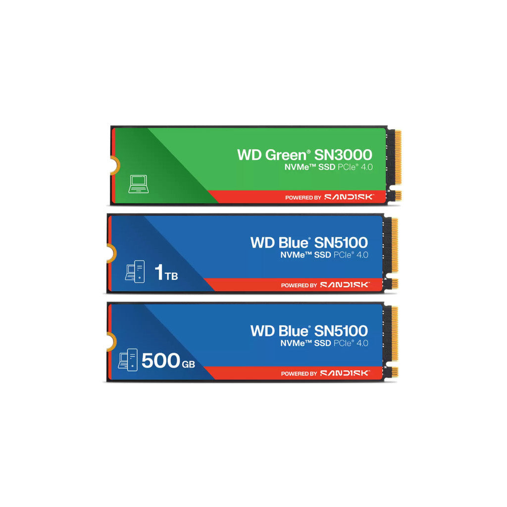 WD SSD (เอสเอสดี) WD BLUE/WD GREEN 500GB-1TB WARRANTY 3 YEARS