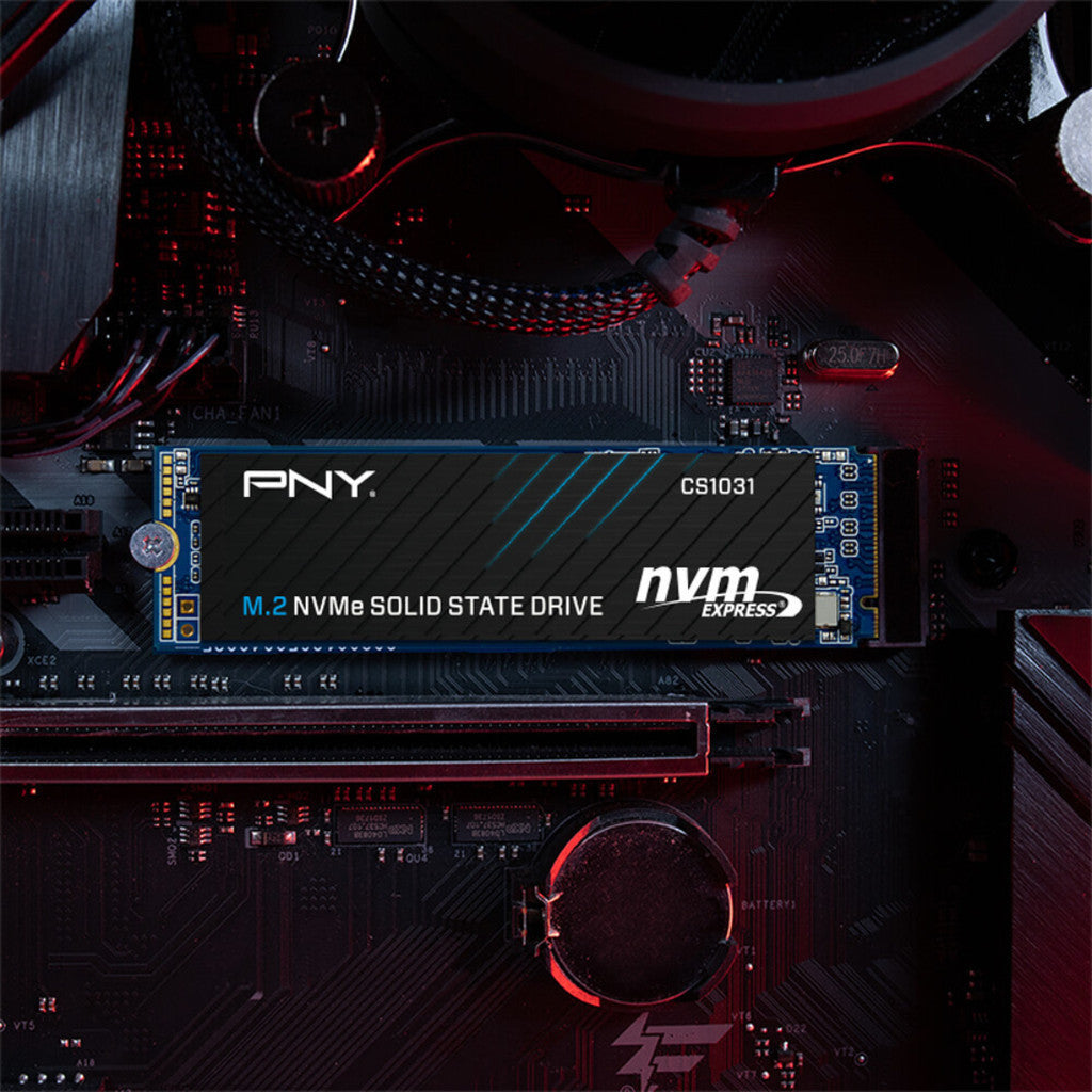 PNY SSD (เอสเอสดี) CS1031 256GB PCIe 3.0 (M280CS1031-256-CL) WARRANTY 5 YEARS