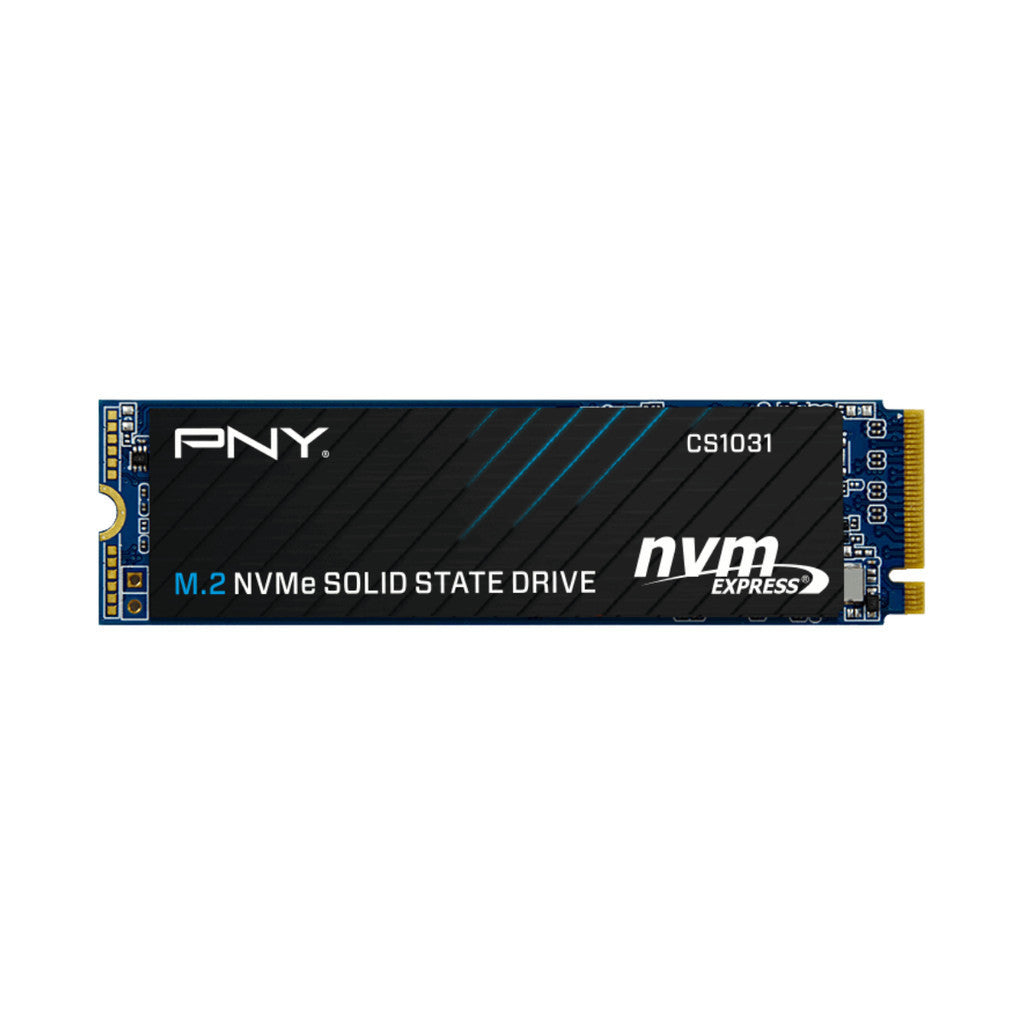 PNY SSD (เอสเอสดี) CS1031 256GB PCIe 3.0 (M280CS1031-256-CL) WARRANTY 5 YEARS