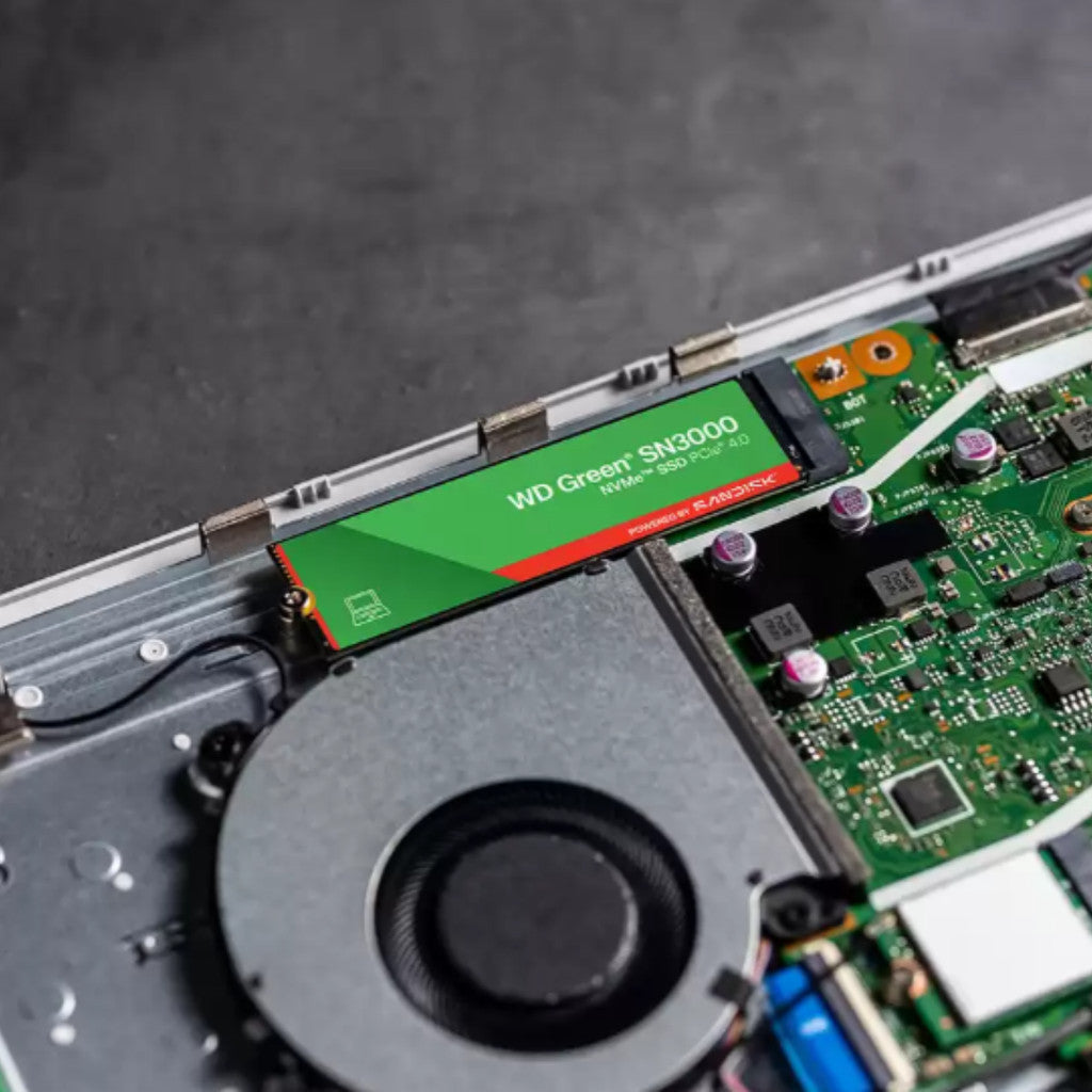 WD SSD (เอสเอสดี) WD BLUE/WD GREEN 500GB-1TB WARRANTY 3 YEARS